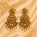 Elegant statement earrings